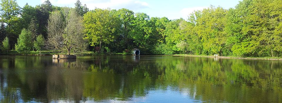 fish :) - carp-fishing-lake.jpg